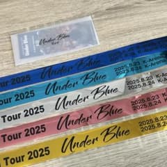 【値下げ◎】Eve underblue icon ぬい（入場特典＋銀テ×2金銀） Eve Under Blue 銀テープ5種 入場特典チケット - メルカリ