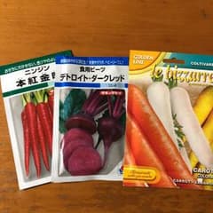 金時人参、ビーツ、カラフルキャロットの種（有効期限切れ）のサムネイル