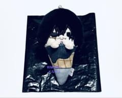 히로아카 아이자와 소타 아이스 타피누이 vol.2 봉제인형