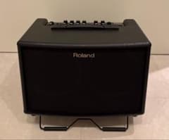 【美品】Roland ACOUSTIC AC-60＆スタンドST-A95セットのサムネイル