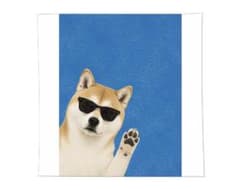 サングラスをかけた柴犬のタオルハンカチのサムネイル
