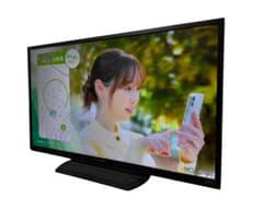 直接引取り限定】LG テレビ43V 2020年製| Buyee日本代购服务| 于