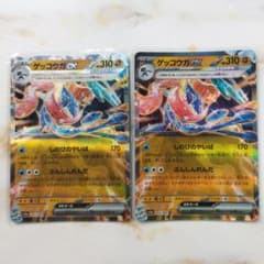 m72066016997_1.jpg?1726971824