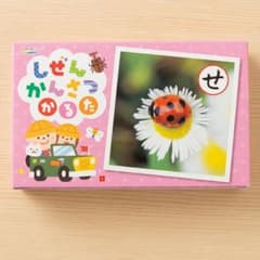 しぜんかんさつかるた 知育玩具のサムネイル