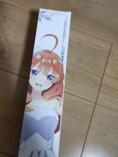 中野五月 等身大掛式アートポスター 未開封のサムネイル