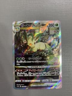 リーフィSARのサムネイル