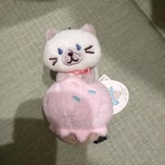 젤라토 마스코트 샤샤