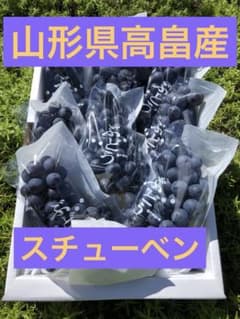 ⑫山形県高畠産ぶどうスチューベン2キロ箱満杯詰のサムネイル