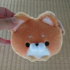 ころころ しばわんのサムネイル