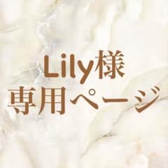 Lily様カスタム専用ページのサムネイル