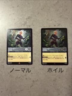 ディズニー ロルカナ カルホーン 2枚セット - メルカリ