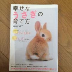 幸せなウサギの飼い方 本のサムネイル