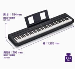 YAMAHA P-45Bのサムネイル