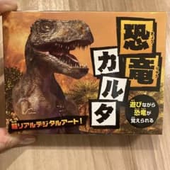 恐竜かるた　全44枚ずつのセット 恐竜カルタ 90枚入り - メルカリ