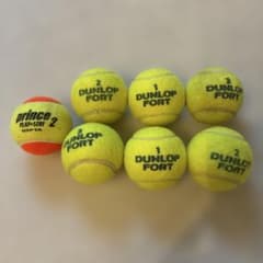 DUNLOP FORT Prince テニスボール 7球セット