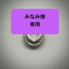 HAPPYSAUCE シルバー ピアスTribal Thriving 伊勢谷友介 HAPPYSAUCE シルバー ピアスTribal Thriving 伊勢谷友介 - メルカリ