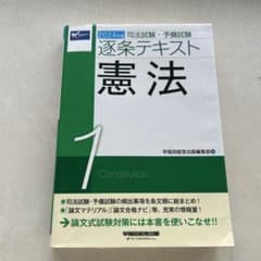 2024年版 司法試験・予備試験 逐条テキスト 1 憲法のサムネイル