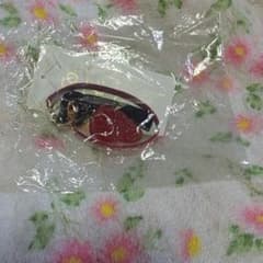 アにエースベーサンライズ♥️新品♥️のサムネイル