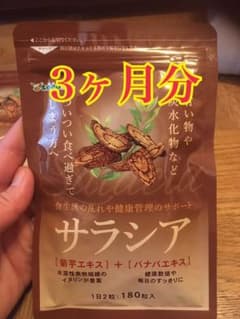 【3ヶ月分】サラシア180粒のサムネイル