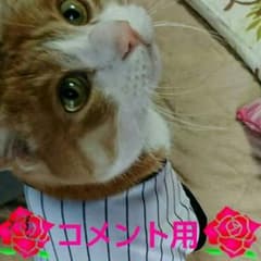 コメント用のサムネイル