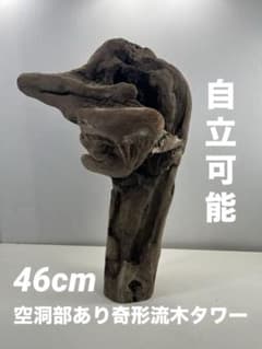 W31アク抜き済み流木 爬虫類シェルター 登り木 インテリア 生け花