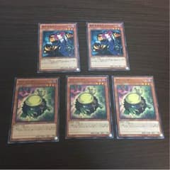 ガイド＆クリバンデッドのサムネイル