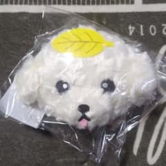 新品未使用 ポッチポーチ 東方神起 チャンミンソロコンサートグッズ 新品未使用 ポッチポーチ 東方神起 チャンミンソロコンサート