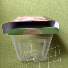GAMEBOYCOLOR　とっとこハム太郎2【空箱】のサムネイル