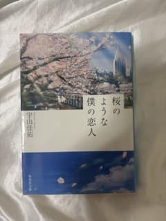 桜のような僕の恋人 宇山佳佑 集英社文庫のサムネイル