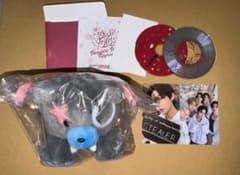 ENHYPEN VANISH ボイスキーリング ソヌ ぬいぐるみ トレカ - メルカリ