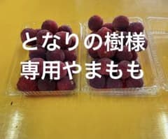 となりの樹様専用やまもものサムネイル