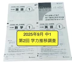 2025年度　第2回　学力推移調査　中学1年9月　3教科＋解説　ベネッセ 新品】2025年9月実施 中学1 学力推移調査 第2回 問題＋解答 - メルカリ
