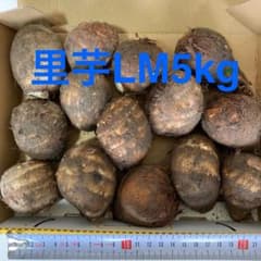 里芋 LM5kgのサムネイル