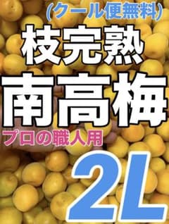 0817【秀品】特大4L5kg 梅干し用完熟南高梅 キルトパッチ梅店のサムネイル