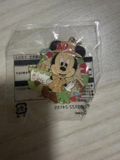 【新品未開封】東京ディズニーランド　ミニー　チャームのサムネイル