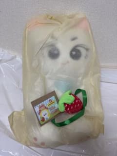 enhypen ジョンウォン 45cm マスターぬいぐるみのサムネイル