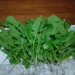 新鮮採れたて！農家直送！レア商品！大根の間引き菜ネコポスいっぱいのサムネイル