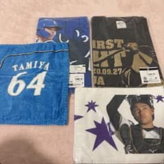 即購入⭕】ファイターズ 田宮裕涼 タオル まとめ売り - メルカリ