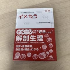 猫好き様 リクエスト 3点 まとめ商品のサムネイル