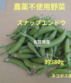 農薬不使用野菜 スナップエンドウ 約380g 訳あり 佐賀県産 - メルカリ