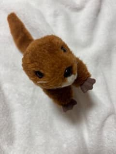 カワウソ ぬいぐるみ ブラウンのサムネイル