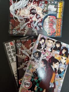 鬼滅の刃 22巻 特装版のサムネイル