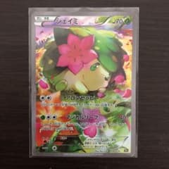 シェイミ CP5  美品のサムネイル