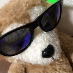 サングラス!のサムネイル