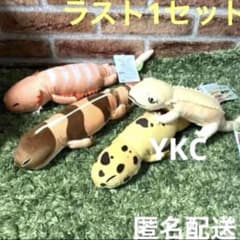 まったりお昼寝爬虫類 ぬいぐるみ コンプリート ラウンドワン ラウワン