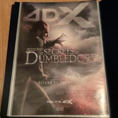IMAX ポスター　A3 まとめ売り IMAX 4DX ScreenX 特典 A3 ポスター まとめ売り - メルカリ
