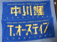 DeNAタオルのサムネイル