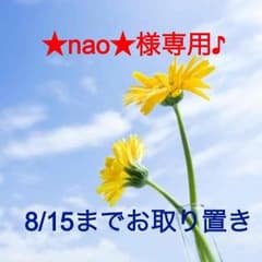 ★nao★様専用！プラダ ショルダーバッグ 美品♪のサムネイル