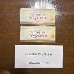 YAMADA HDLGS. 株主優待券 500円 2枚のサムネイル