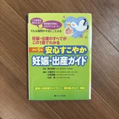 安心すこやか妊娠・出産ガイド : 妊娠・出産のすべてがこの1冊でわかる : こ…のサムネイル